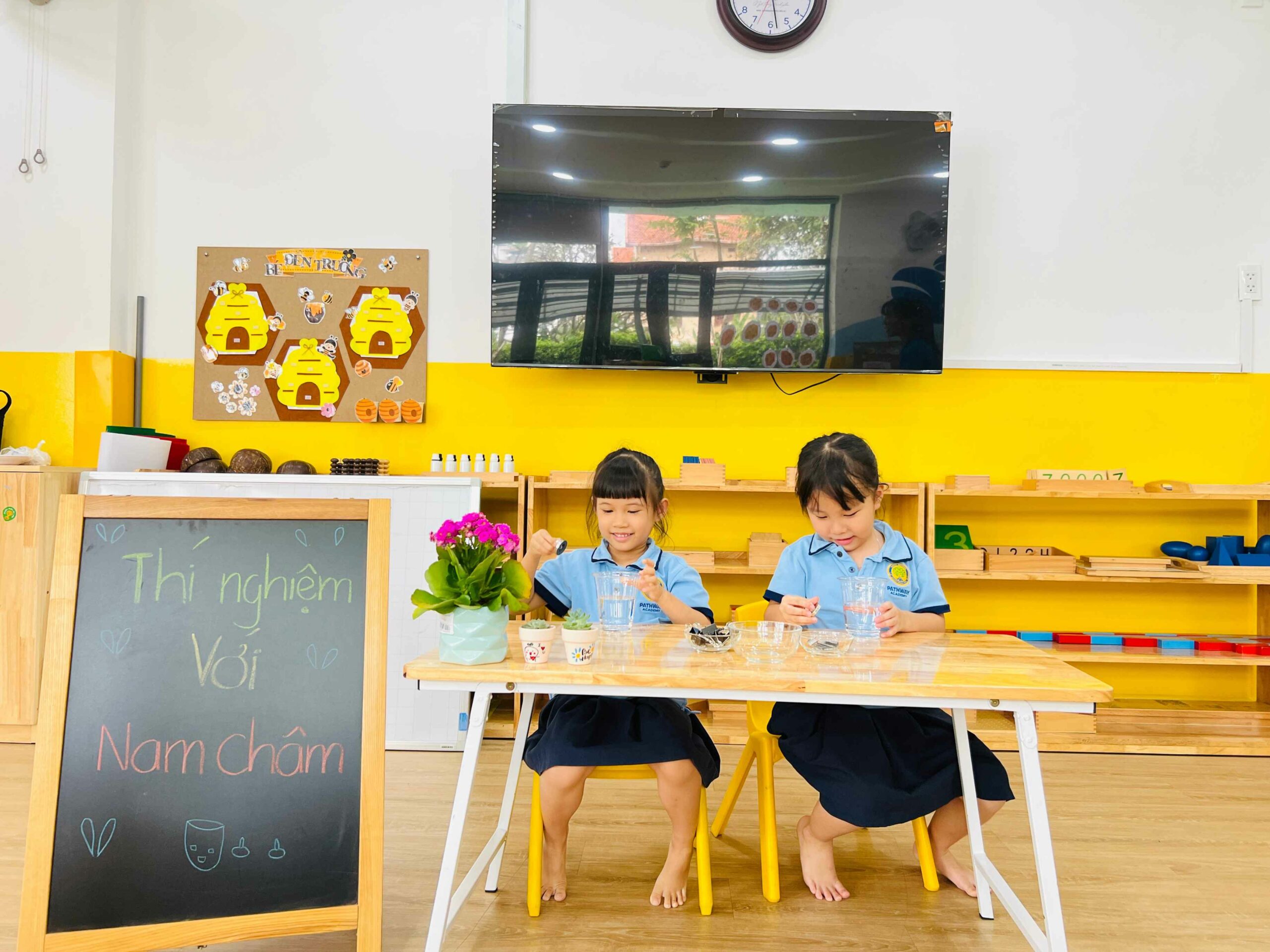 chương trình học mầm non trường tư thục