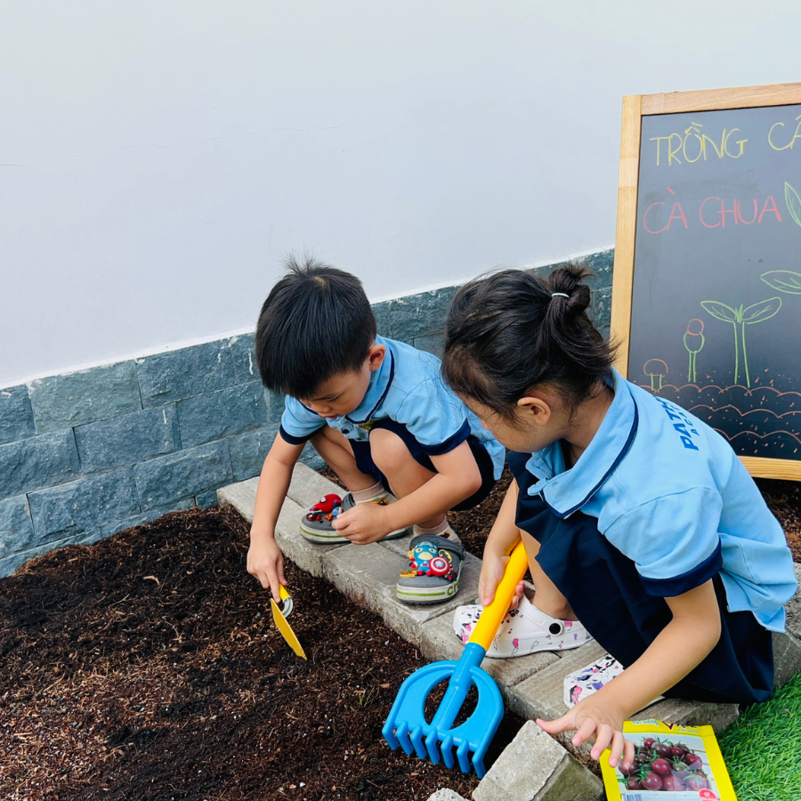 Pathway Academy dạy trẻ kỹ năng bảo vệ môi trường