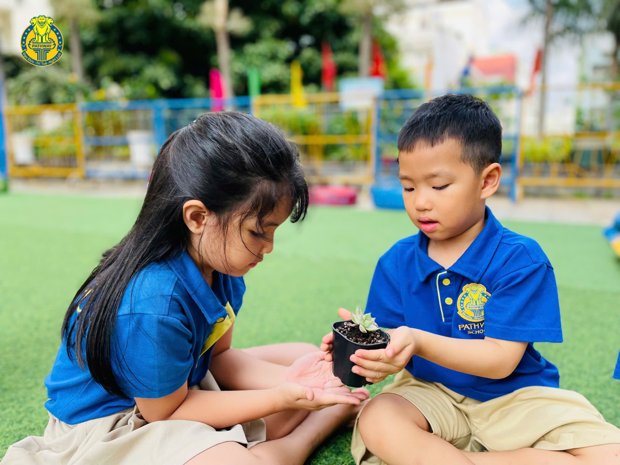 Giáo dục cảm xúc tích cực không chỉ giúp trẻ phát triển EQ mà còn xây dựng nhân cách bền vững.