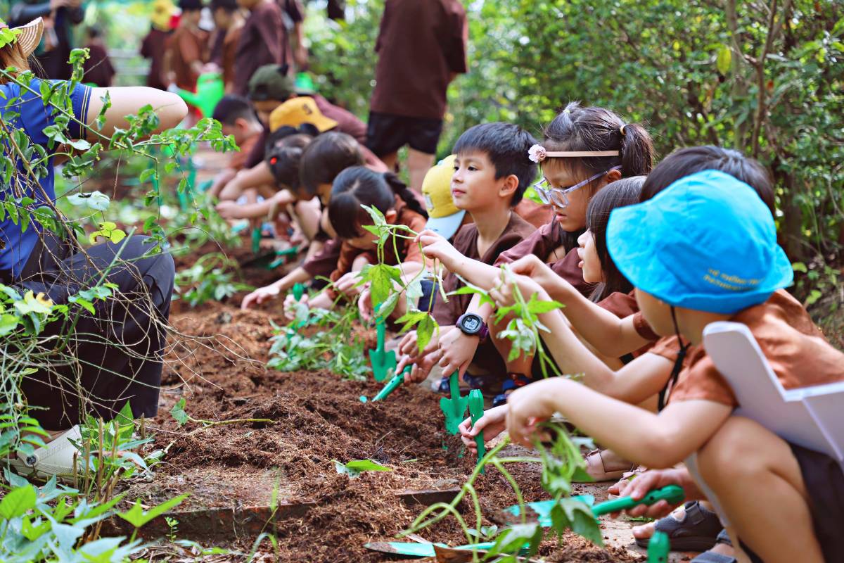 Chương trình trải nghiệm cho học sinh tiểu học mang đến nhiều lợi ích thực tiễn cho học sinh
